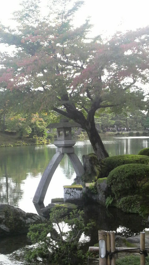 2010102314570000.jpg