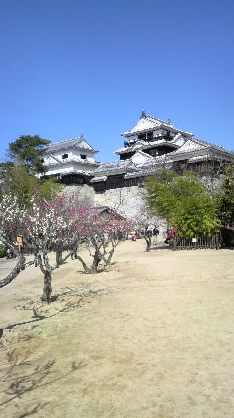 2011030510400000.jpg