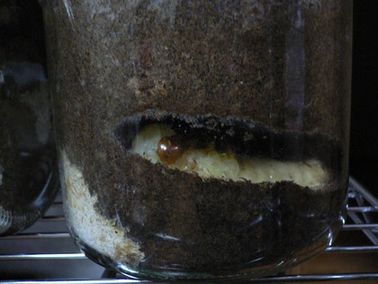 20081013-02.JPG