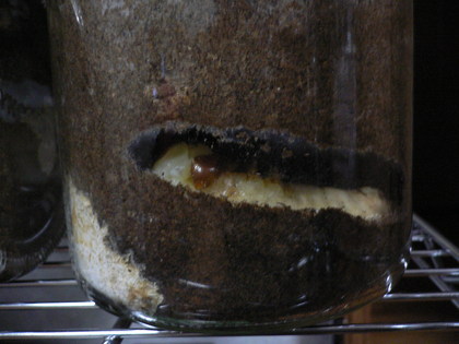 20081013-03.JPG