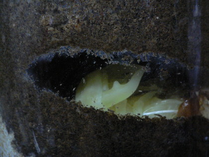 20081013-06.JPG