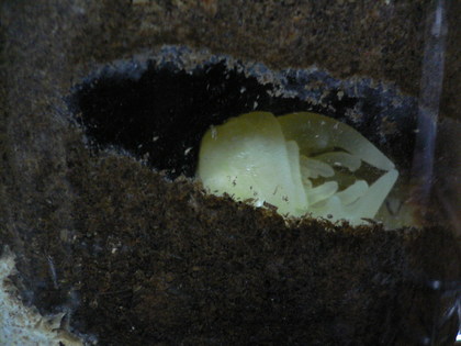 20081013-09.JPG