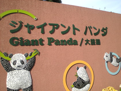 20111130-02.jpg
