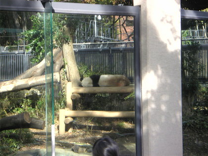 20111130-03.jpg