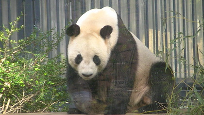 20111130-04.JPG
