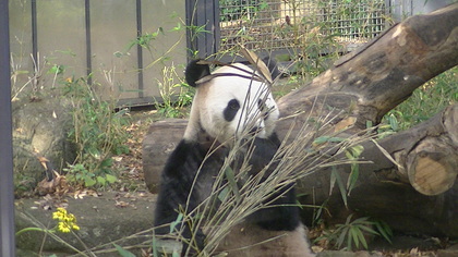 20111130-05.JPG