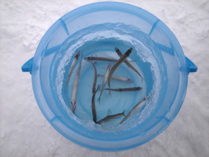 20120109-01.jpg