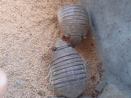 20120121-03.JPG