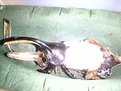 20120201-00.jpg