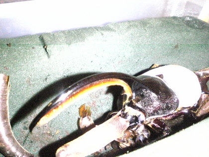 20120201-01.jpg