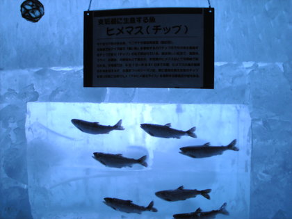 20120212-06.jpg