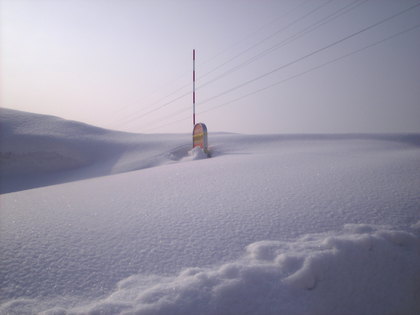20120214-01.jpg