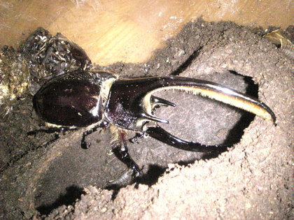 20120220-00.jpg