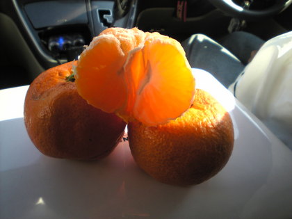 20120313-02.jpg