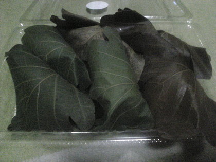 20120406-00.jpg