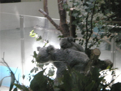 20120503-05.jpg