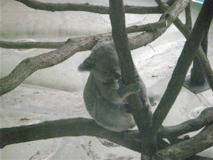 20120503-06.jpg