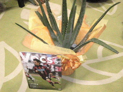 20120513-01.jpg