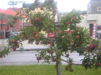 20120906-00.jpg
