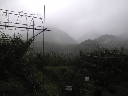 20120916-00.jpg
