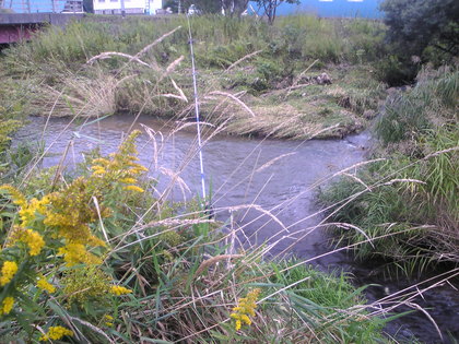 20120918-00.jpg