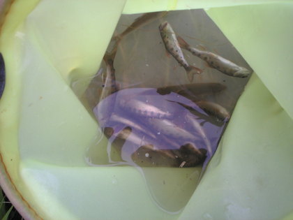 20120918-02.jpg
