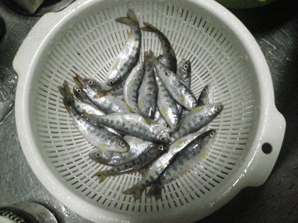 20120918-03.jpg