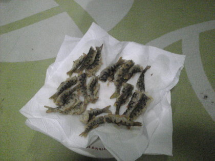 20120918-05.jpg