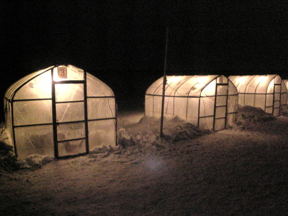 1357815611-Image383.jpg
