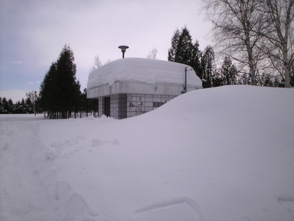 1361620504-Image413.jpg