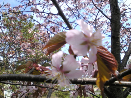1368697611-Image476.jpg