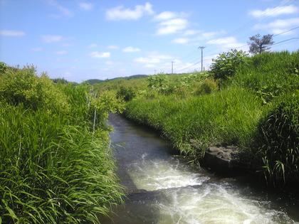 1372676686-Image533.jpg