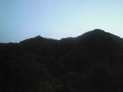 1372798444-Image536.jpg