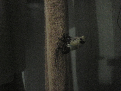 1374698047-Image541.jpg