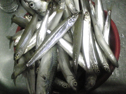 1380055717-Image003_00.jpg