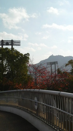1384807215-P1000057.JPG