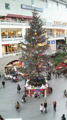 1387792439-P1000082.JPG