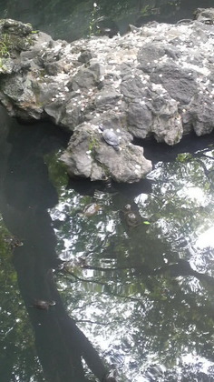 1400845394-P1000012.JPG