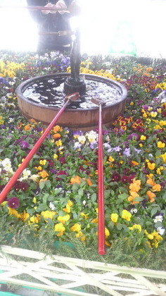 1459934849-P1000020.JPG