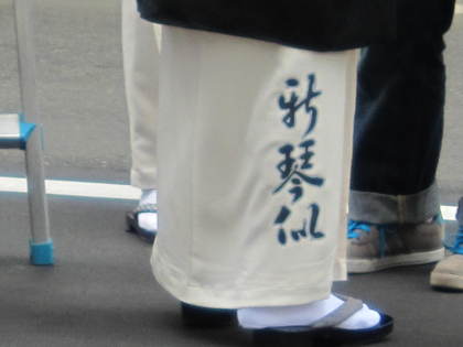 新琴似