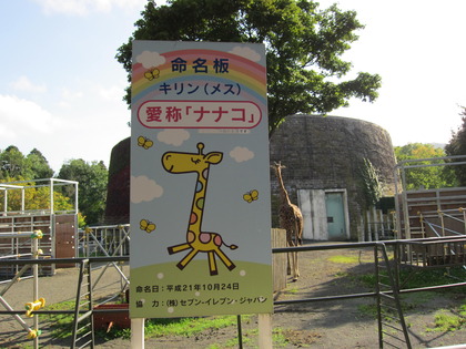 円山１