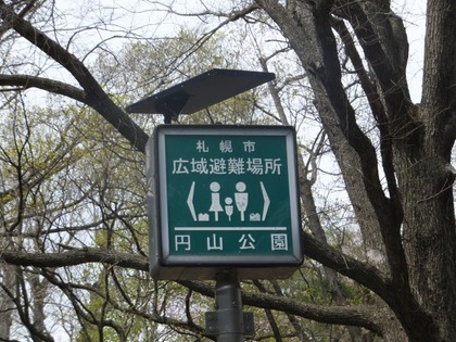 桜１