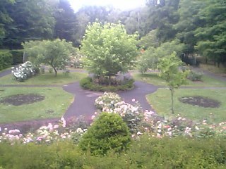 20080713-01.JPG