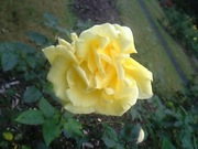 20080713-08.JPG