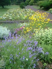 20080713-12.JPG
