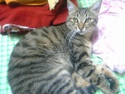 20080714-05.JPG
