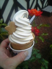 20080721-10.JPG