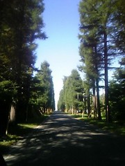 20080726-00.JPG