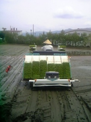 20090504-00.JPG