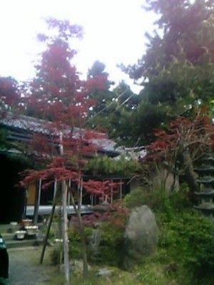 20090504-02.JPG